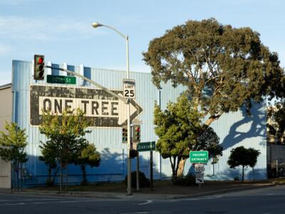One Tree — Street art de Rigo 23 à San Francisco