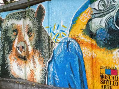 Spectacled bear and macaw by Oscar Sotillo — Street art by Oscar Sotillo in Ixelles