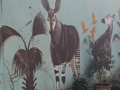 Sepia okapis in the courtyard — Street art in Köln
