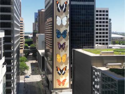 La collection de Houston — Street art de Mantra à Houston