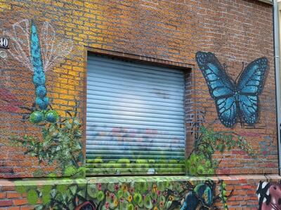 Giant insects around a window — Street art in Köln
