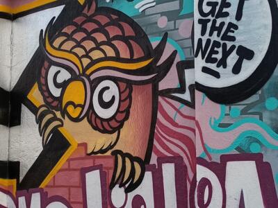 Round 1 Owl and Demolisha Lettering — Street art by Colectivo RUA in Lisboa