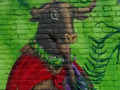 Taureau à la guirlande de fleurs — Street art de Colorrevolution e.V. à Köln