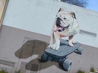 Bulldog Skateur — Lausos — Street art de EHME à Lisbon
