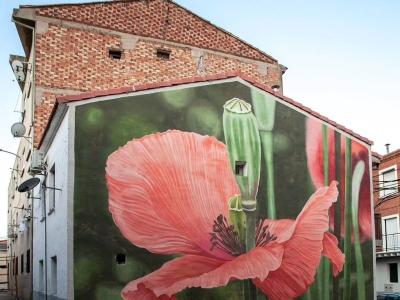 Papaver dubium — Street art de Doa Oa à Azagra