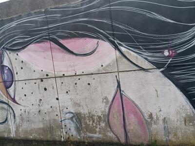 Pink Face with Long White Hair — Street art in Lisboa
