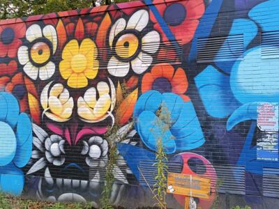Masque de fleurs sur mur noir — Street art à Köln