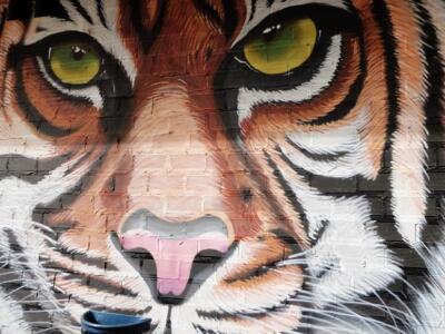 Superviviente del entorno animal — Street art de Manuel García Juan à La Bañeza