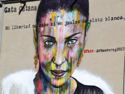 Gata Cattana — Street art by Sfhir in La Bañeza