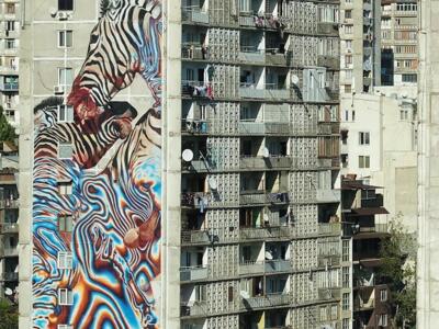 Zèbres — Street art de SNYDER à Tbilisi