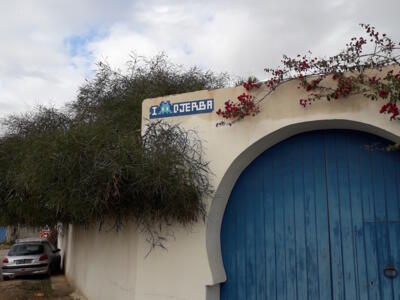 DJBA_36, Space Invader in Erriadh — Street art by Invader in Erriadh