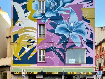 La Seyne Sur Mer — Street art de Ciclope à La Seyne-sur-Mer