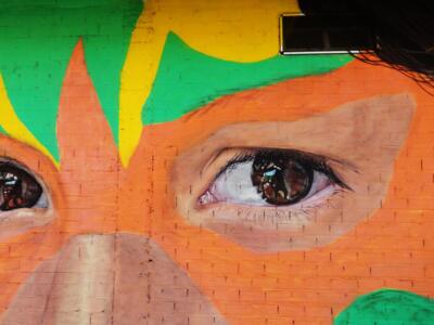 Ían en carnaval — Street art de Chicadania à La Bañeza