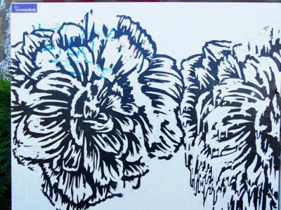Paper-Cut, les pivoines — Street art de Aurel Rubbish à Bayonne