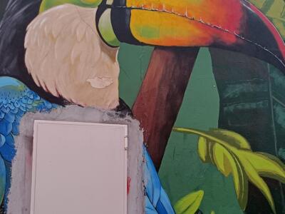 Toucan dans la jungle peinte — Street art à Lisboa