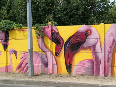 Flamants roses sur mur jaune — Street art à Reims