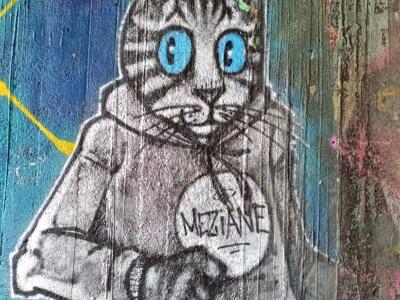 The cat with a spray can and hoodie — Street art in Nantes