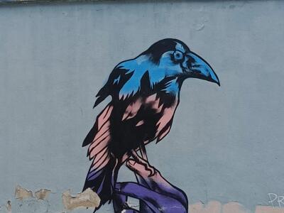 Corbeau bleu perché — Street art à Lisboa