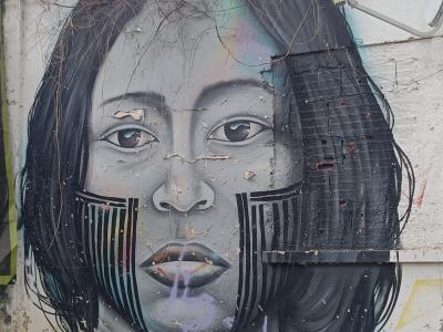 Portrait Zébré aux Rayures et Arc-en-ciel — Street art à Lisbon