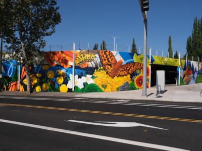 A Bridge to Pollinator Paradise — Street art by Plastic Birdie in Portland