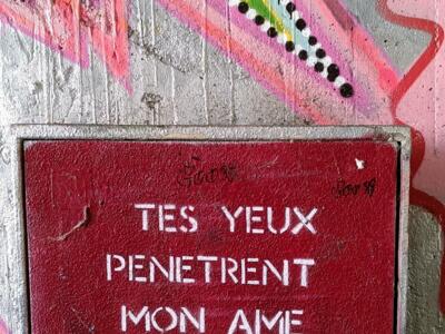 Your eyes pierce my soul — Street art by Graf Flower in Nantes