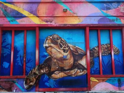 Tortue marine sur poste électrique — Street art de Sitou à Nantes