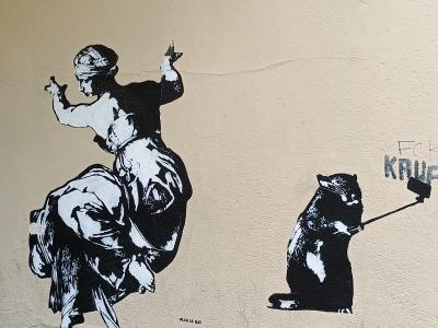Classical Muse and Selfie Raccoon — Street art in Berlin