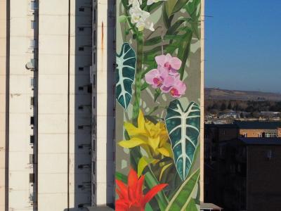 Fleurs pour ma mère — Street art de Thiago Mazza à Tbilisi