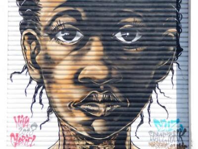 Galerie de portraits, le volet brun — Street art de Deuz à Bayonne