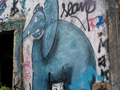 Éléphant bleu et lettrage Naol — Street art à Lisboa