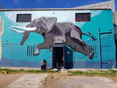 The Swimming Elephant — Street art de Falko One à Cape Town