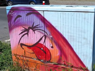 Visage rieur du coffret électrique — Street art à Berlin