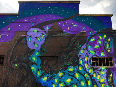 Untitled (Bastardilla / Ericailcane) — Street art by Ericailcane in Aielli Stazione