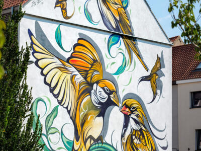 Yellow Songbirds of Overzet — Street art by Fio Silva in Gent