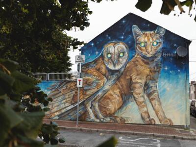 The Owl and the Cat — Street art by Emily Ding in Waterford