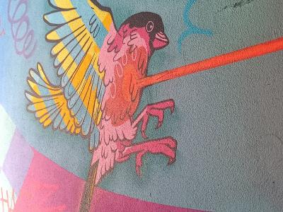 Pinson rose du passage — Street art à Berlin