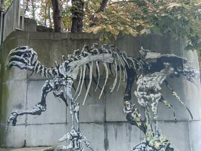 Dinosaur skeleton by the museum steps — Street art by Bonom in Ixelles