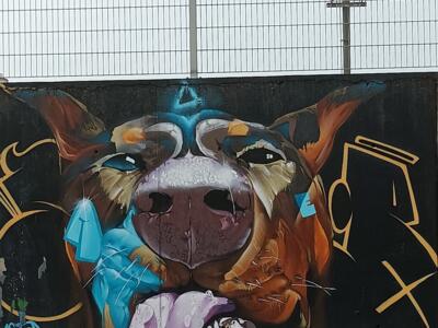 Tête de chien, par The Sneb One — Street art de The Sneb One à Lisboa