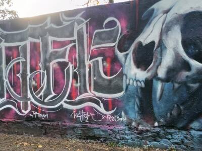 Crâne de fauve et lettrage calligraphique — Street art de RAL 9000 à Düsseldorf