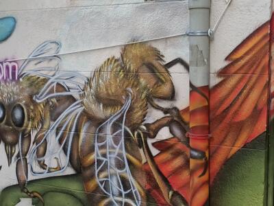 Giant Bees on Rue Guintrand — Street art in Marseille