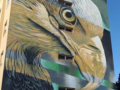 Tête d'aigle hyperréaliste — Street art de Styler à Lisbon