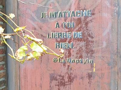 Je m'attache à toi lierre de rien par La Dactylo — Street art de La Dactylo à Bruxelles