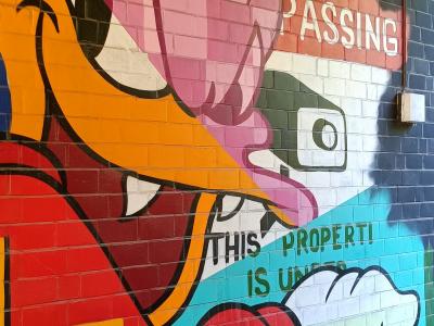 Chien farceur No Passing — Street art à Berlin