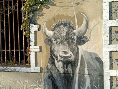 Realistic bison by Alice Jousset — Street art by Alice Jousset in Nantes