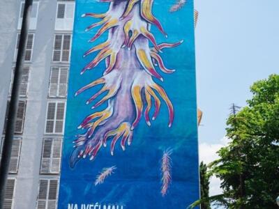 Le plus grand petit escargot de mer — Street art de Luka Duplančić à Split