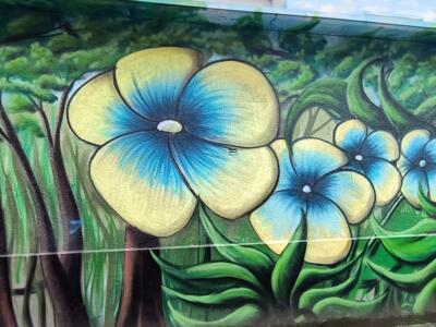 Grandes fleurs jaunes à cœur bleu — Street art à Köln