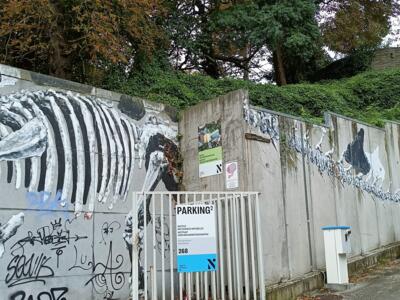Mammal skeleton on the museum wall — Street art by Bonom in Ixelles