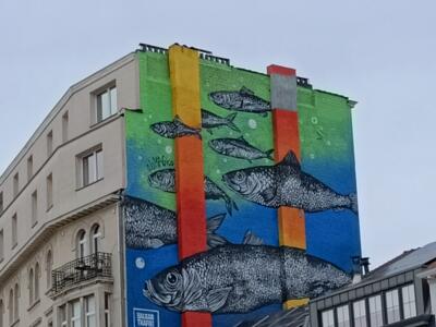 No Borders, the Herrings by ojoMAGico — Street art by ojoMAGico in Bruxelles