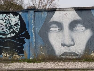 Chat lové dans un disque noir — Street art à Lisboa