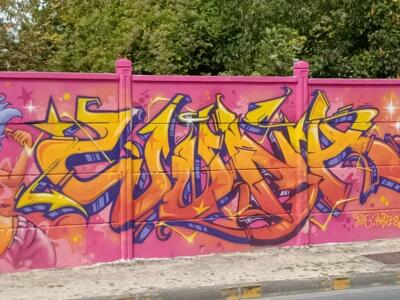 Who Got The Funk, pin-up à l'afro lilas — Street art à Reims